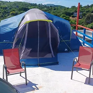 house-rooster-run-and-camping.sanjuanpuertorico-hotels.com/