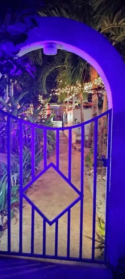 Casa De Tortuga Guesthouse Vieques Puerto Rico